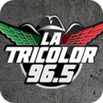 Logo of Tricolor 965 FM android Application 